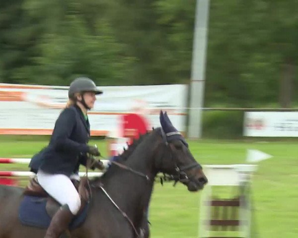 Reitturnier Hahnbach/Opf. 2020