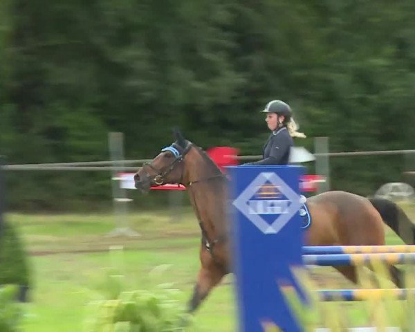 Reitturnier Hahnbach/Opf. 2020