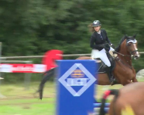 Reitturnier Hahnbach/Opf. 2020
