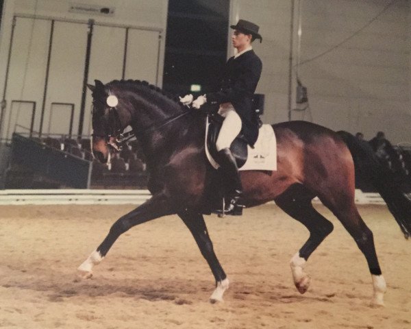 horse Ascoli Piceno (Westphalian, 1987, from Atlantico xx)