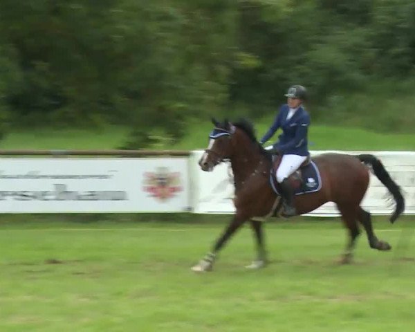 Reitturnier Hahnbach/Opf. 2020