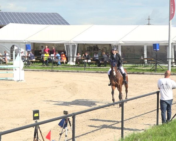 Reitturnier Gossau (Stall Sommersweid) 2020