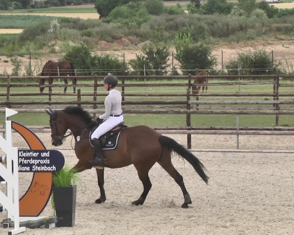 Reitturnier Worms-Pfeddersheim / Reitsportanlage Wittemer 2020