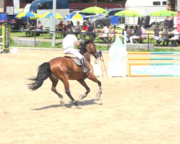 Reitturnier Gossau (Stall Sommersweid) 2020
