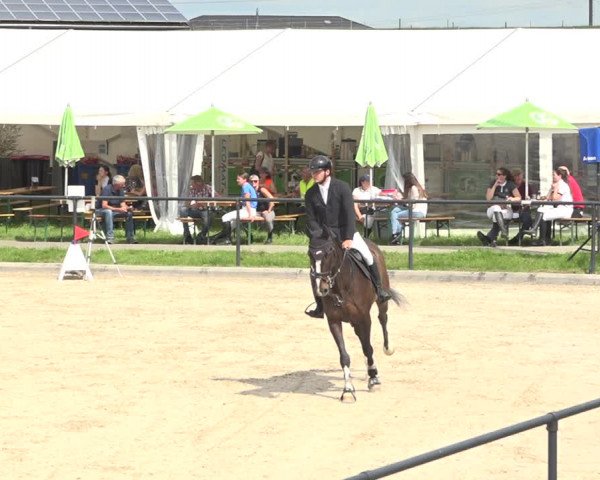 Reitturnier Gossau (Stall Sommersweid) 2020