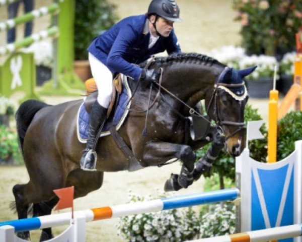 jumper Pollendr (Rhinelander, 2005, from Polytraum)