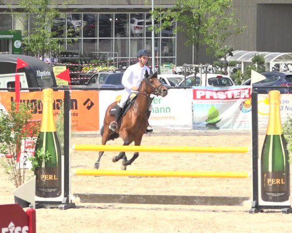 Reitturnier Gossau (Stall Sommersweid) 2020