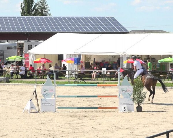 Reitturnier Gossau (Stall Sommersweid) 2020