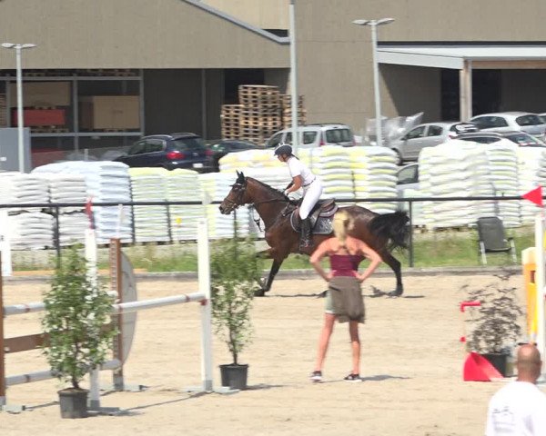 Reitturnier Gossau (Stall Sommersweid) 2020