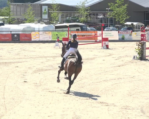 Reitturnier Gossau (Stall Sommersweid) 2020