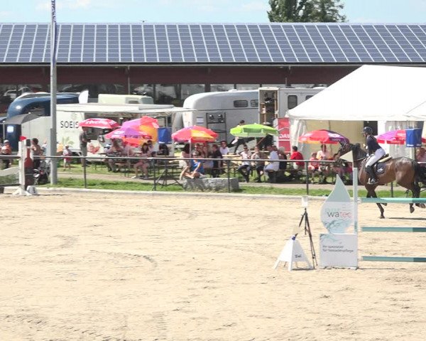 Reitturnier Gossau (Stall Sommersweid) 2020