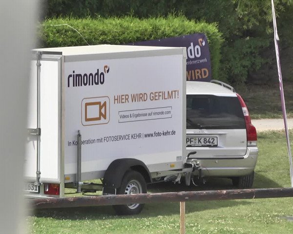 Reitturnier Worms-Pfeddersheim / Reitsportanlage Wittemer 2020