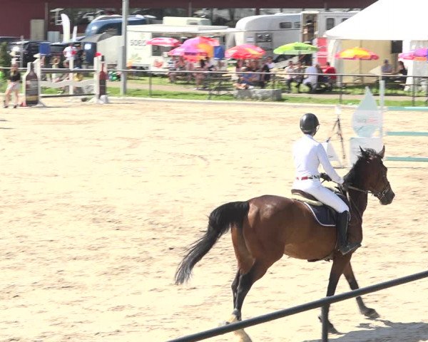 Reitturnier Gossau (Stall Sommersweid) 2020