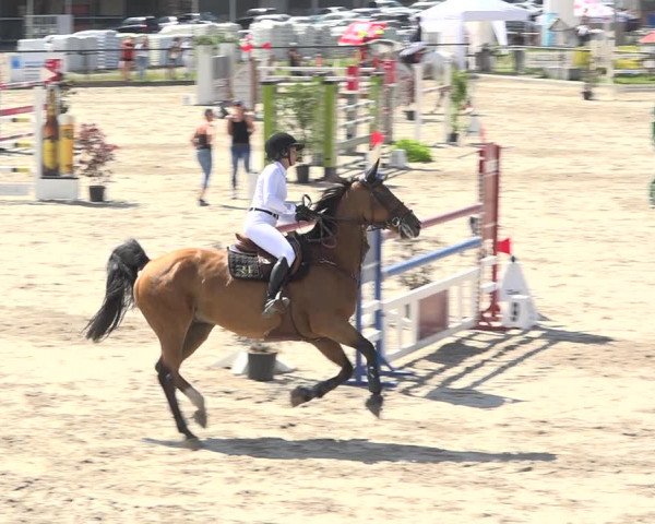 Reitturnier Gossau (Stall Sommersweid) 2020