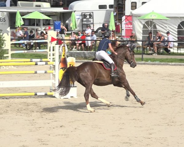 Reitturnier Gossau (Stall Sommersweid) 2020