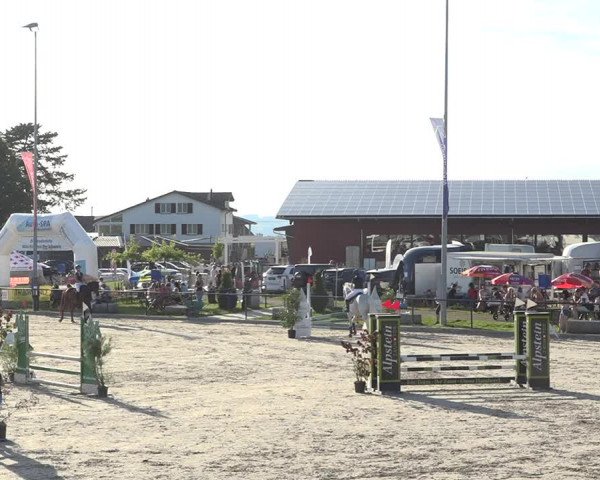 Reitturnier Gossau (Stall Sommersweid) 2020