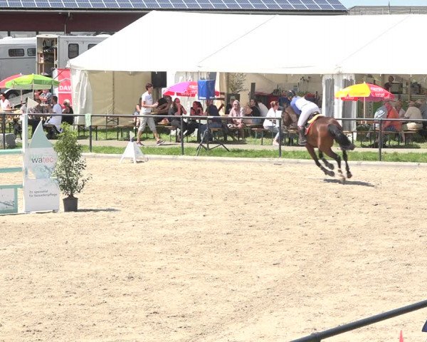Reitturnier Gossau (Stall Sommersweid) 2020