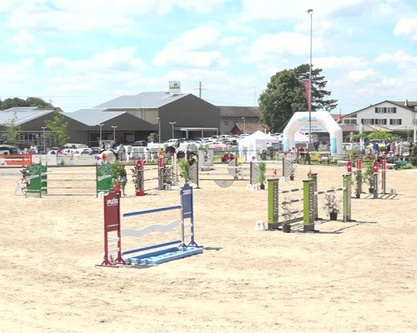 Reitturnier Gossau (Stall Sommersweid) 2020