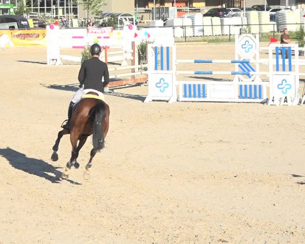 Reitturnier Gossau (Stall Sommersweid) 2020