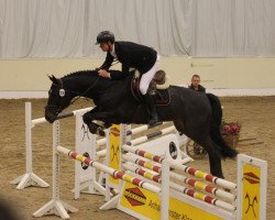 jumper Stacopi (Hanoverian, 2010, from Stakkato)
