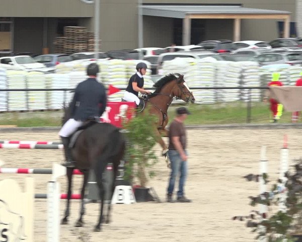 Reitturnier Gossau (Stall Sommersweid) 2020