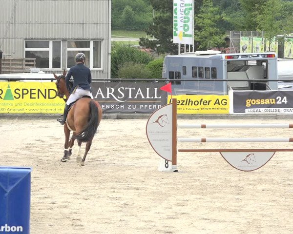 Reitturnier Gossau (Stall Sommersweid) 2020