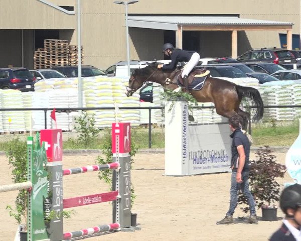 Reitturnier Gossau (Stall Sommersweid) 2020