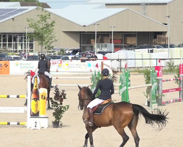 Reitturnier Gossau (Stall Sommersweid) 2020