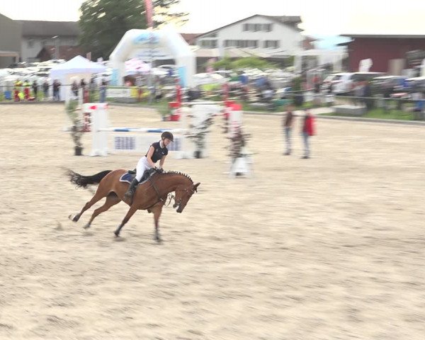 Reitturnier Gossau (Stall Sommersweid) 2020