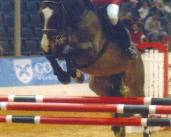 jumper Ritano 5 (Hanoverian, 1996, from Ramiro's Bube)