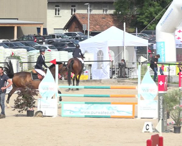 Reitturnier Gossau (Stall Sommersweid) 2020