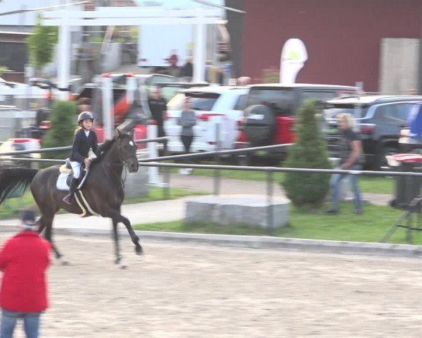 Reitturnier Gossau (Stall Sommersweid) 2020