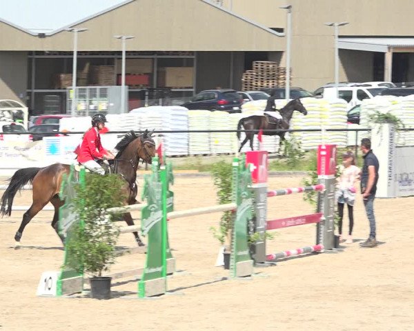 Reitturnier Gossau (Stall Sommersweid) 2020