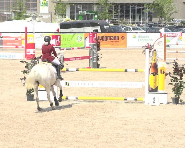 Reitturnier Gossau (Stall Sommersweid) 2020