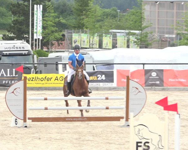 Reitturnier Gossau (Stall Sommersweid) 2020
