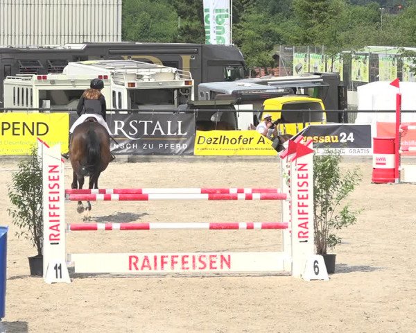 Reitturnier Gossau (Stall Sommersweid) 2020