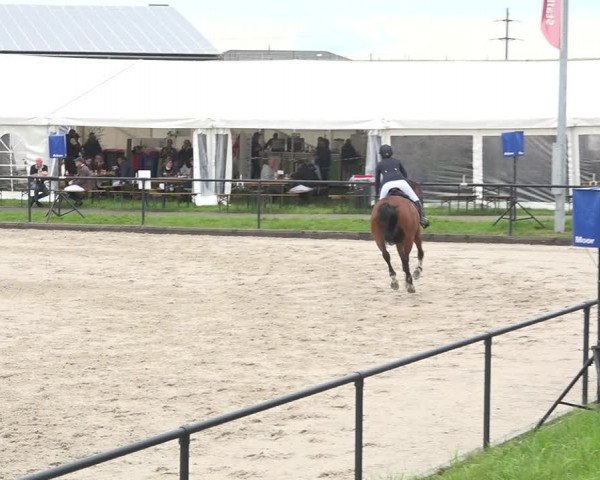 Reitturnier Gossau (Stall Sommersweid) 2020