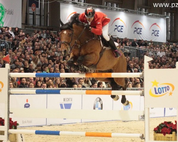 jumper Wavantos vd Renvillehoeve (KWPN (Royal Dutch Sporthorse), 2003, from Lux Z)