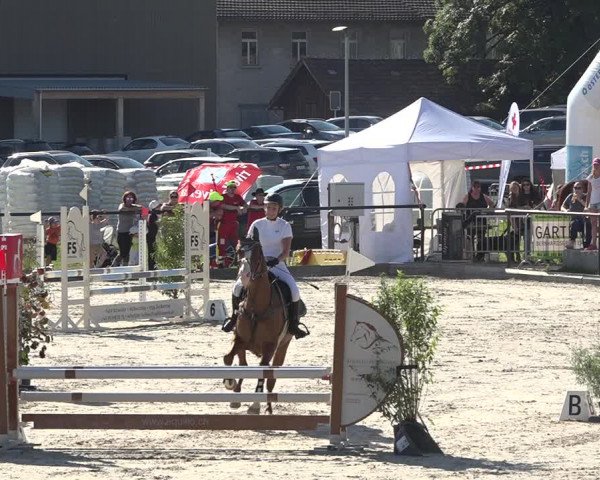 Reitturnier Gossau (Stall Sommersweid) 2020