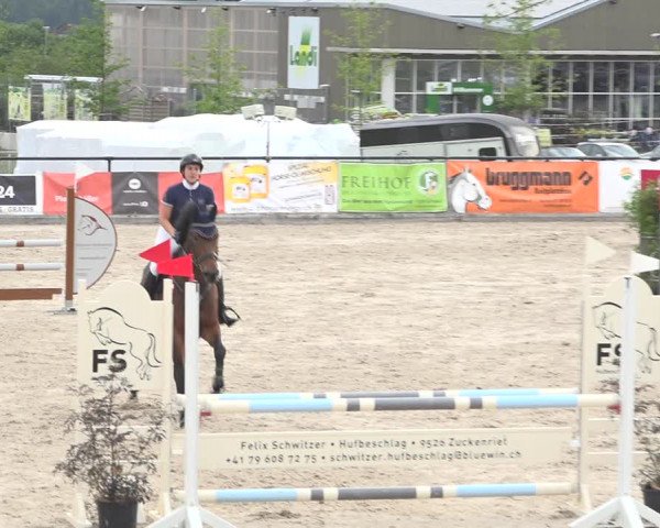Reitturnier Gossau (Stall Sommersweid) 2020