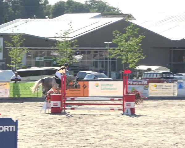 Reitturnier Gossau (Stall Sommersweid) 2020