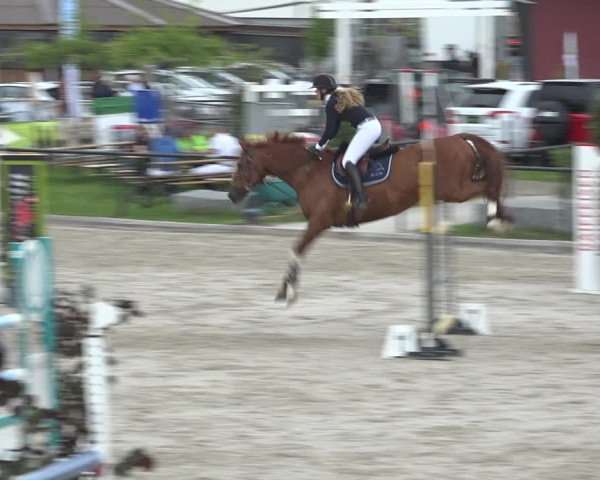 Reitturnier Gossau (Stall Sommersweid) 2020