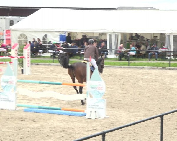 Reitturnier Gossau (Stall Sommersweid) 2020