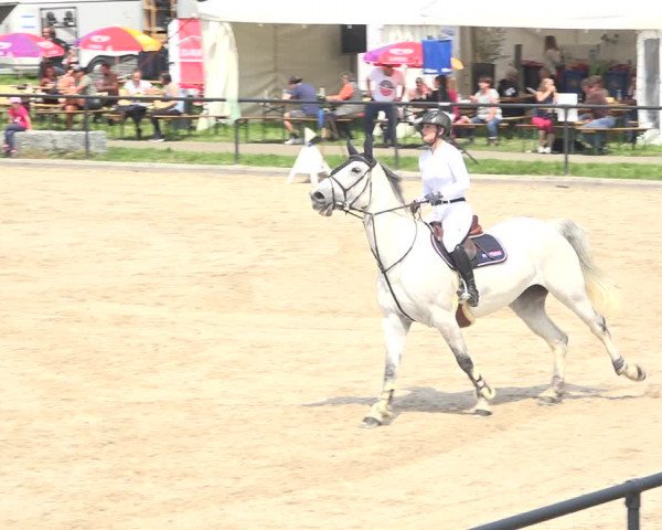 Reitturnier Gossau (Stall Sommersweid) 2020
