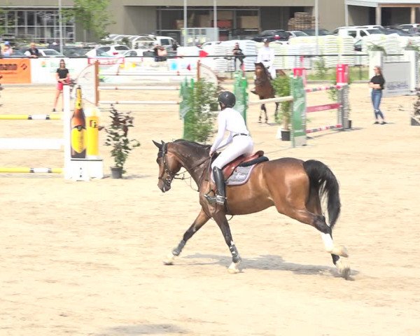 Reitturnier Gossau (Stall Sommersweid) 2020