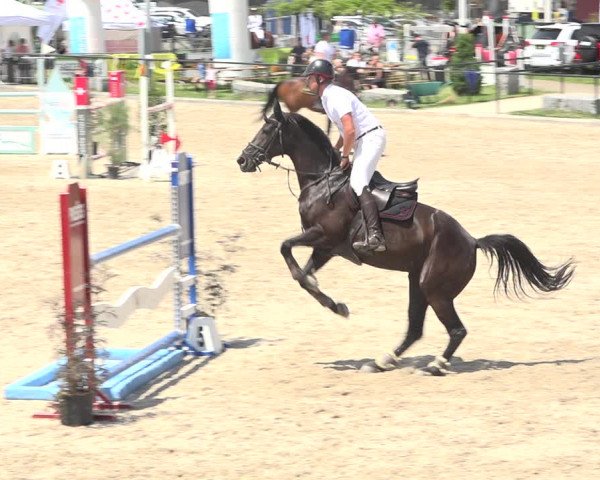 Reitturnier Gossau (Stall Sommersweid) 2020