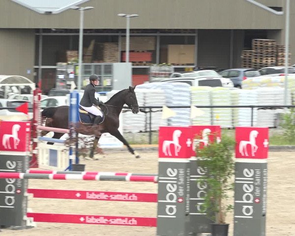Reitturnier Gossau (Stall Sommersweid) 2020