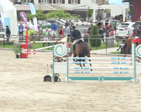 Reitturnier Gossau (Stall Sommersweid) 2020