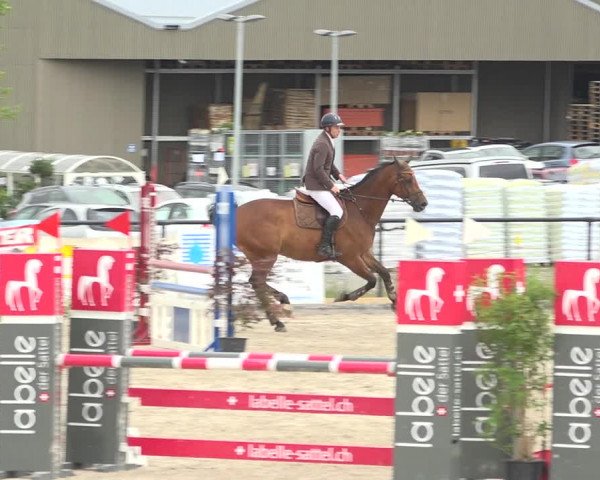 Reitturnier Gossau (Stall Sommersweid) 2020