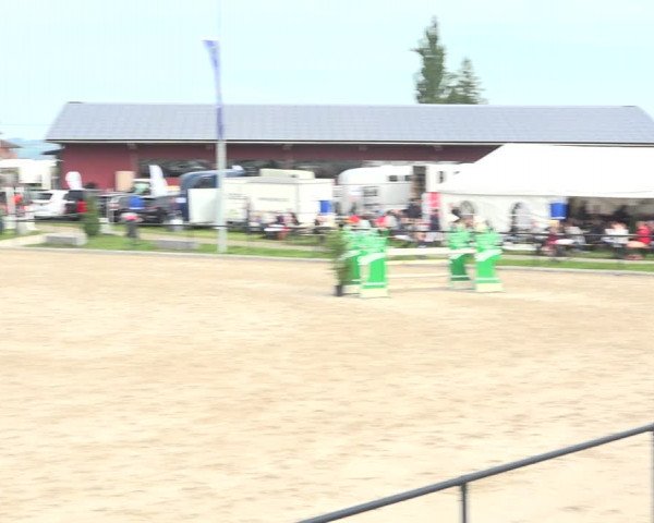Reitturnier Gossau (Stall Sommersweid) 2020